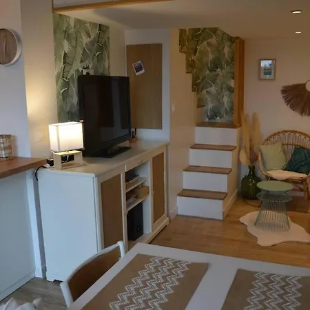 Studio Mezzanine Audenge, Cote Jardin